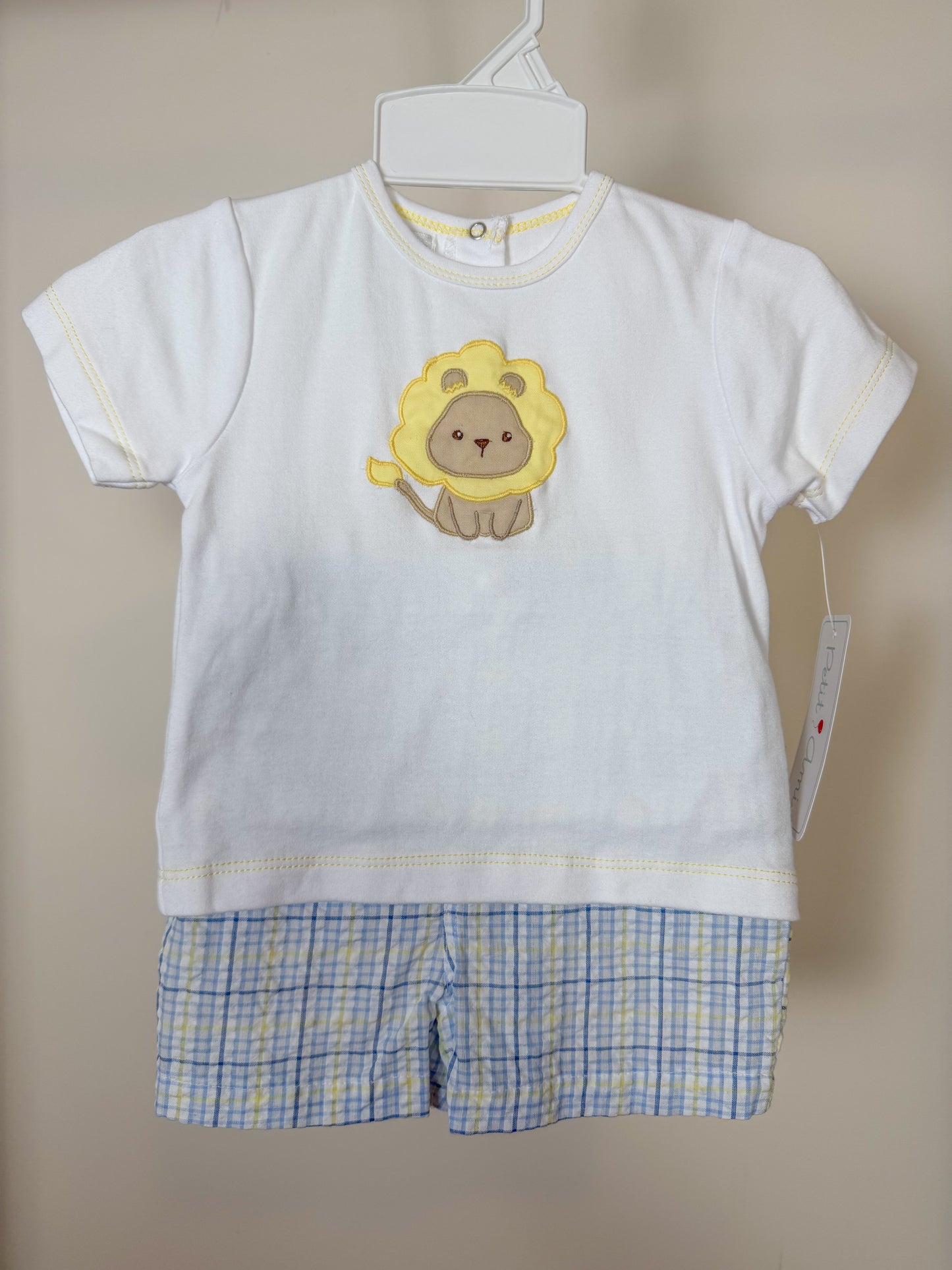 Boys Lion Short Set