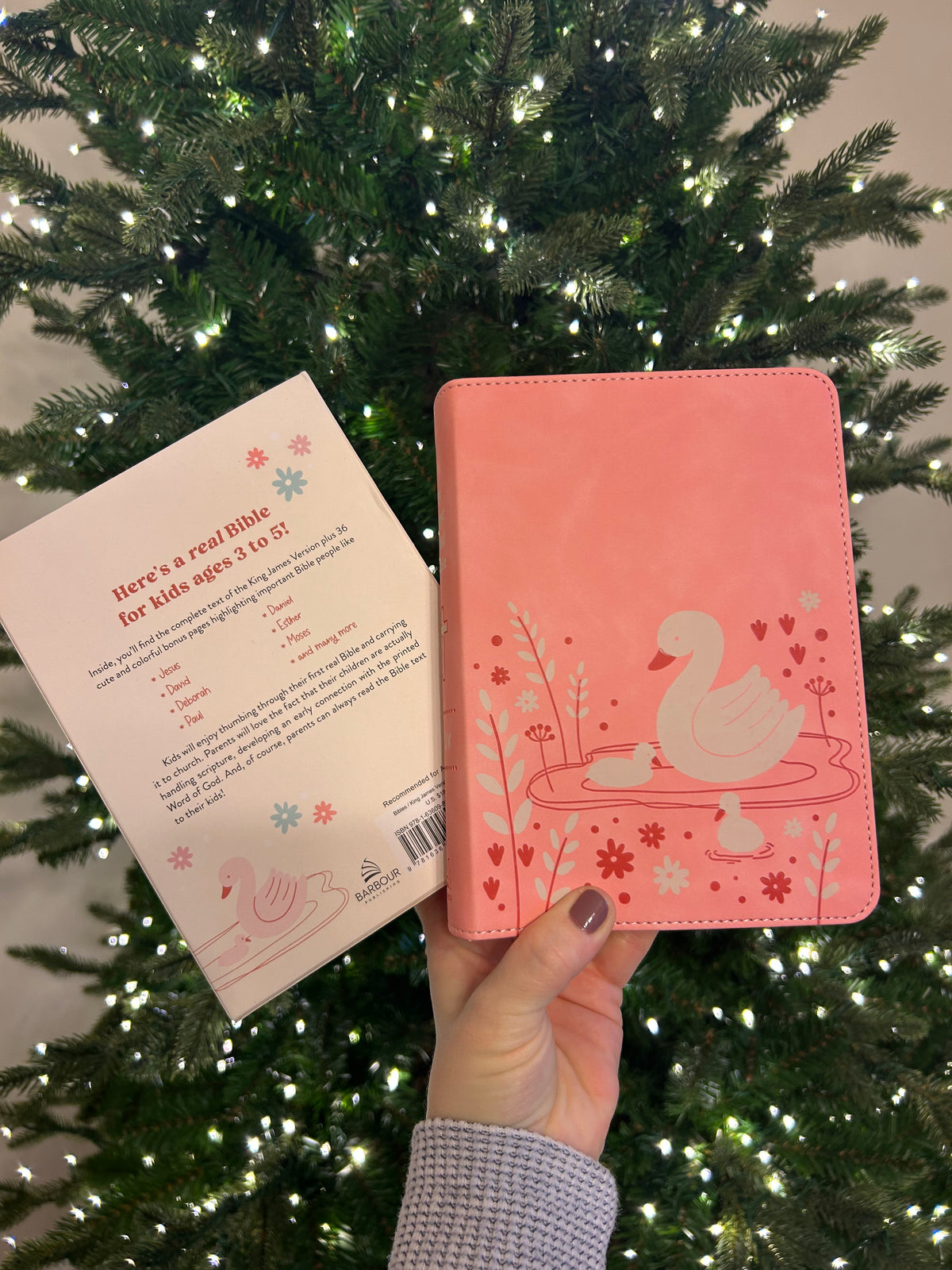 Pink - My First Real Bible