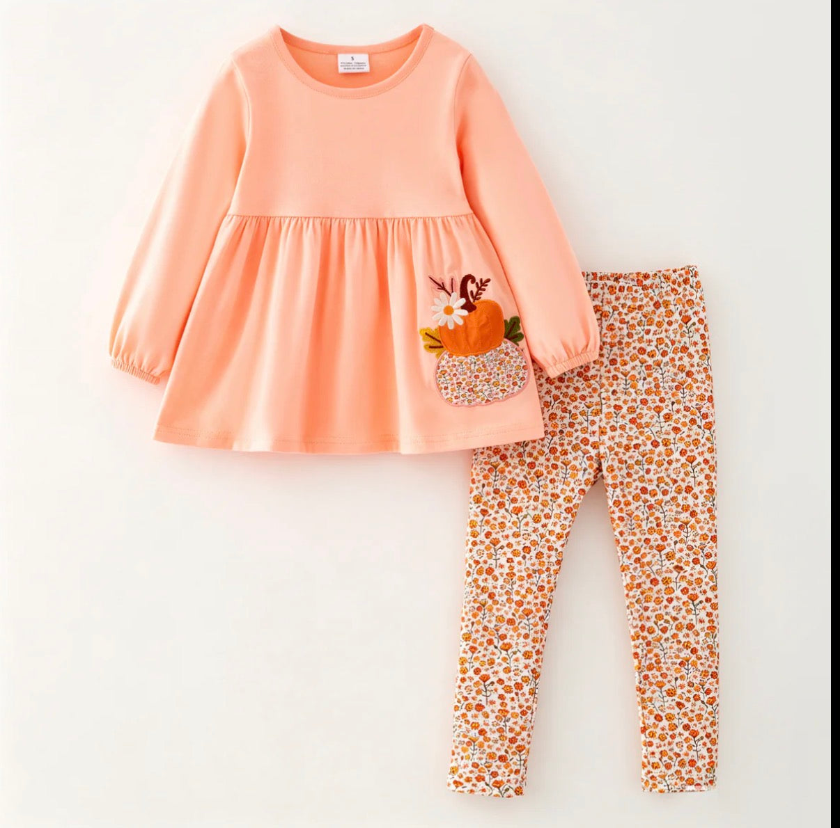 Fall floral appliqué pumpkin pant set
